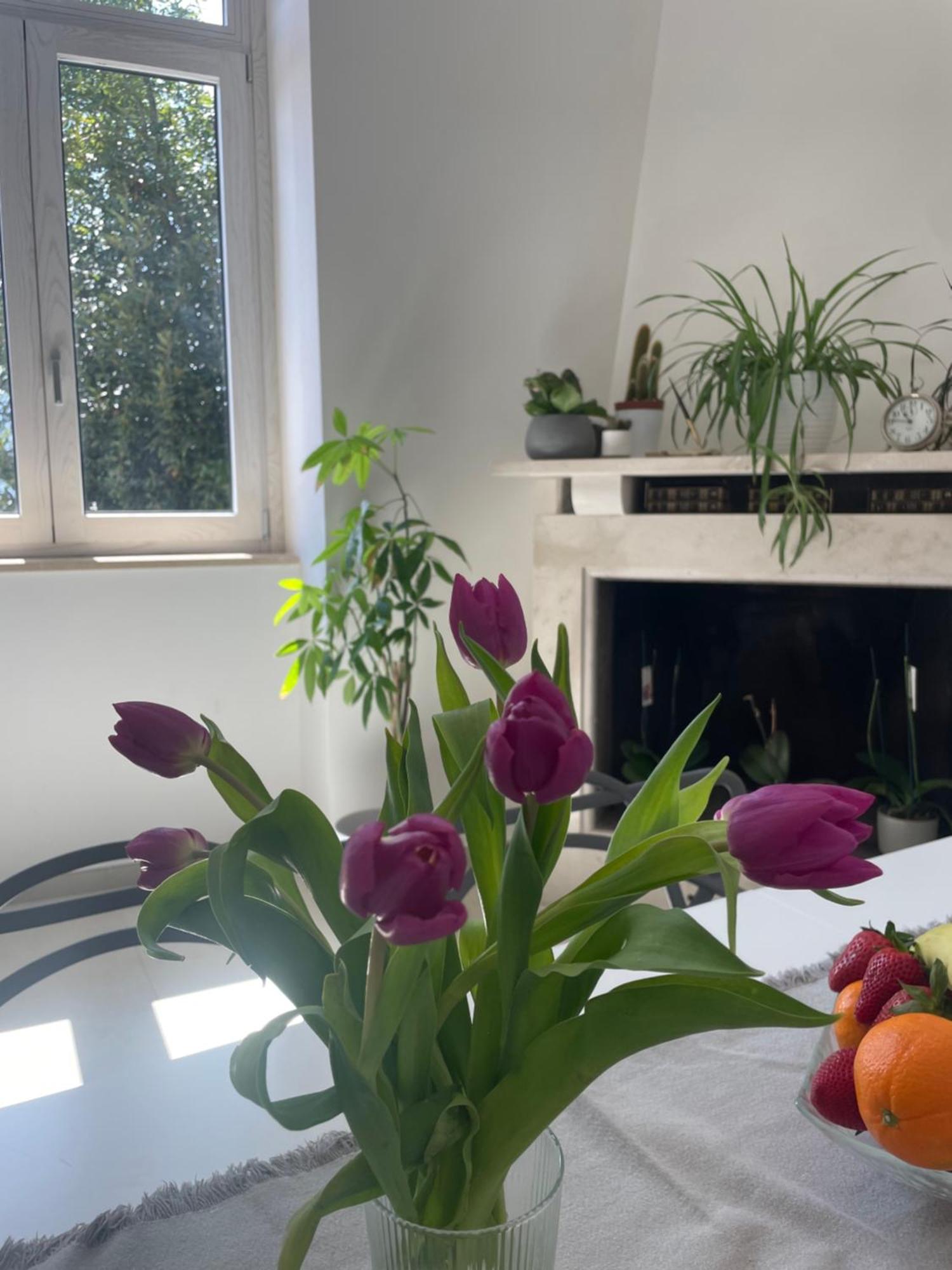 Ferienwohnung La Casa De Lu Barone San Demetrio ne' Vestini Exterior foto